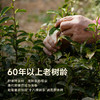 【超模君严选 1958年国有林场 浙BA官方伴手礼】杭州礼物x曜隐 早色龙井（小罐茶）/ 抛荒龙井 商品缩略图5