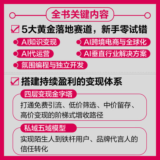 用AI玩转一人公司 张然冉主AI创业个体 单干 副业增收变现 打造个人IP 商品图3
