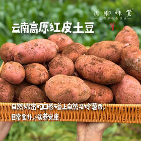 云南高原红皮土豆（基地直发-顺丰快递）| 3斤、5斤/件，来自云南昆明，生产者：刘兴成【合作生产，公平贸易】