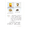 橘皮 化痰良友 清湖说中医药食同源 张文安 邓文祥 重点梳理了橘皮的历史渊源 炮制方法 食养食疗机制等内容 中国医药科技出版社 商品缩略图4