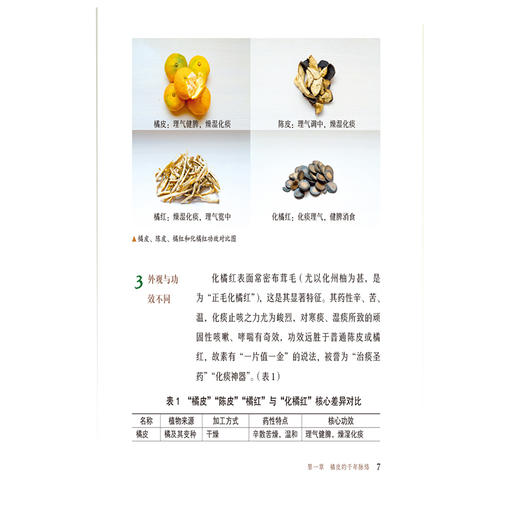 橘皮 化痰良友 清湖说中医药食同源 张文安 邓文祥 重点梳理了橘皮的历史渊源 炮制方法 食养食疗机制等内容 中国医药科技出版社 商品图4