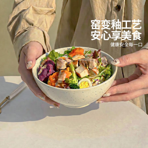 摩登主妇窑变釉下彩米饭碗家用2026新款碗具个人专用小碗饭碗面碗 商品图1