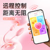 【情趣用品】谜姬 双星密钥阴肛双震跳蛋后庭肛塞【控价产品】 商品缩略图6