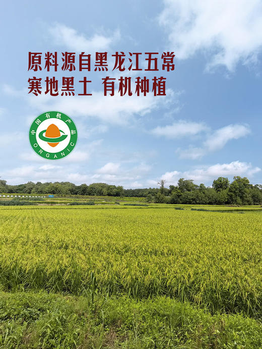 MM 山姆 Member's Mark 有机糯米 2.3kg 商品图2