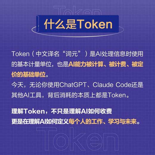 一本书读懂Token：看透AI时代的底层逻辑 AI 成本 价值 词元 入门 商品图1