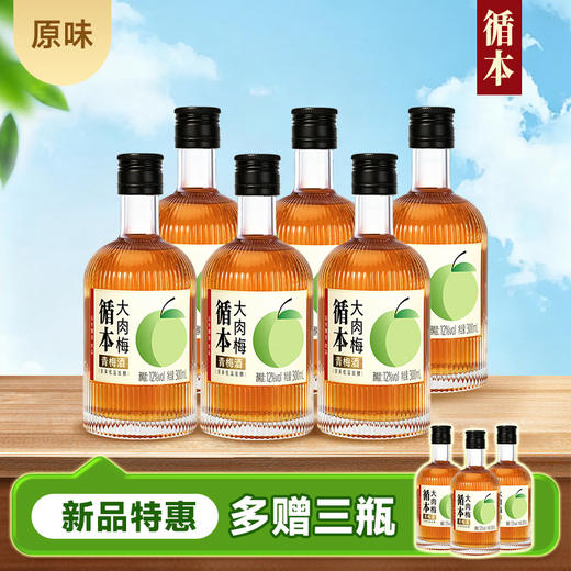 【整箱装】（再赠三瓶）循本青梅酒 12度 原味 300ml*6瓶 新品限时特惠百年糊涂出品 商品图0