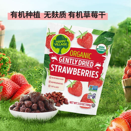 【土耳其原装进口】Happy Vilage 有机草莓干 酸甜软糯 浓郁草莓香 100g/袋 商品图4