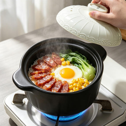 德世朗 熹微陶瓷养生汤煲 双耳设计 端拿舒适 持久保温 DFS-T6002 商品图3