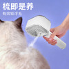 卡屋 宠物静净锤抑菌喷雾梳毛器 喷雾锁毛不飞絮 弯角软梳齿不扯毛 JET-f01 商品缩略图2