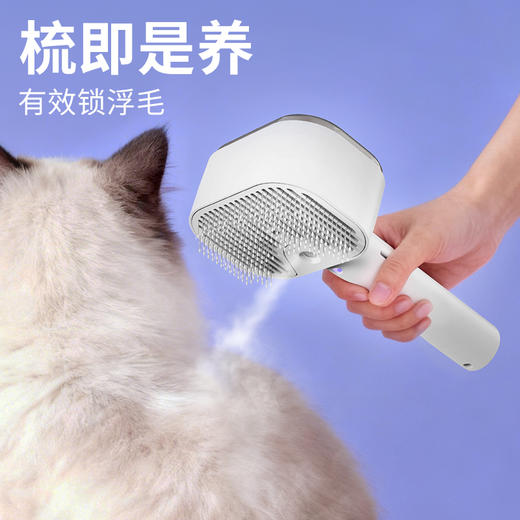 卡屋 宠物静净锤抑菌喷雾梳毛器 喷雾锁毛不飞絮 弯角软梳齿不扯毛 JET-f01 商品图2