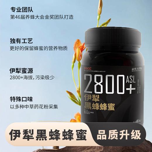 【唐布拉草原蜜源地  多种蜜源植物 配料只有蜂蜜 波美度≥42.3】亩育万物新疆黑蜂蜂蜜 500g*2罐 商品图6