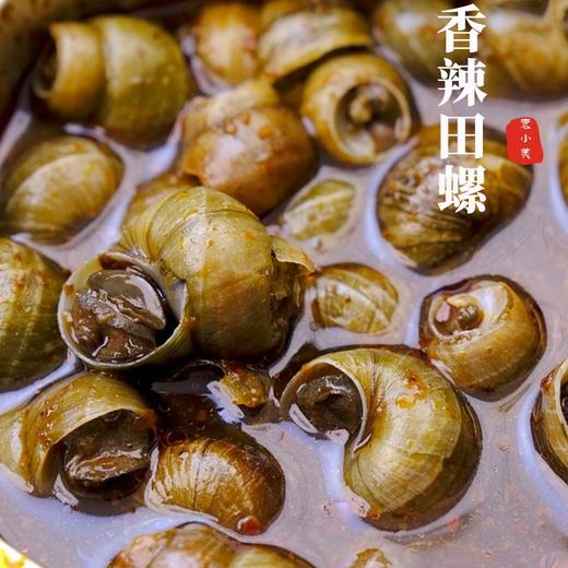 疯抢中！！【新华社报道】【袁小美·香辣田螺】螺肉肥嫩鲜香 无沙无泥 配料表干净 250g*9盒 商品图2