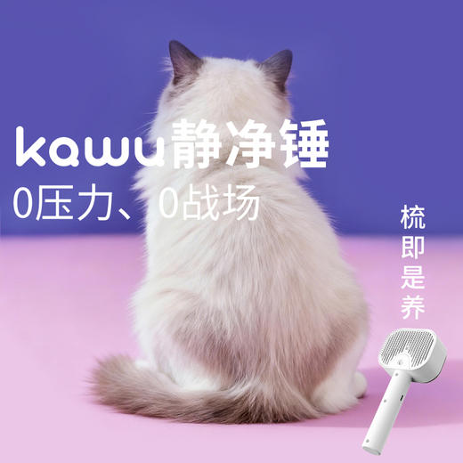 卡屋 宠物静净锤抑菌喷雾梳毛器 喷雾锁毛不飞絮 弯角软梳齿不扯毛 JET-f01 商品图4