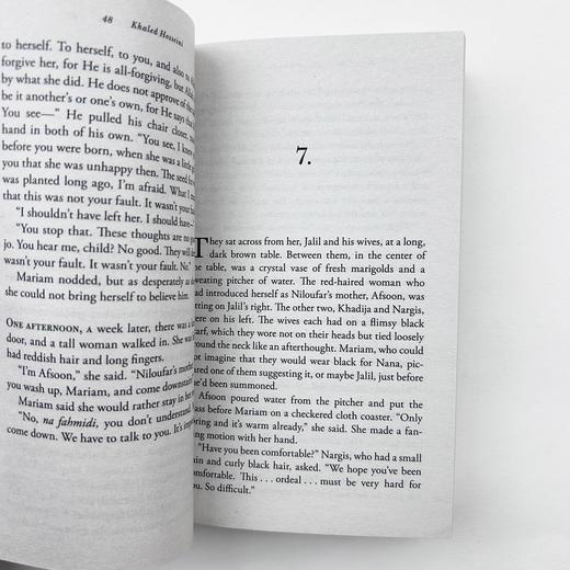 灿烂千阳 英文原版小说 A Thousand Splendid Suns 英文版进口书 The Kite Runner追风筝的人作者胡赛尼另一力作 英语原版 商品图2