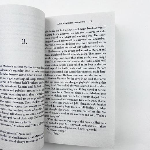 灿烂千阳 英文原版小说 A Thousand Splendid Suns 英文版进口书 The Kite Runner追风筝的人作者胡赛尼另一力作 英语原版 商品图4