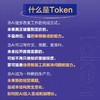 一本书读懂Token：看透AI时代的底层逻辑 AI 成本 价值 词元 入门 商品缩略图2