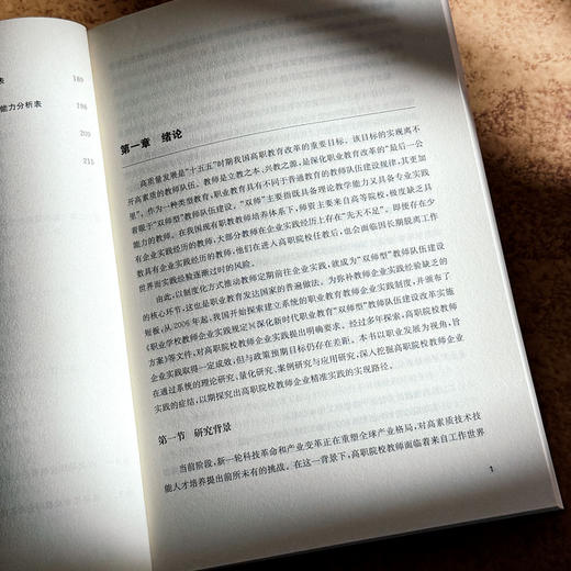 职业发展视角下高职院校教师企业精准实践研究 郝天聪 商品图7