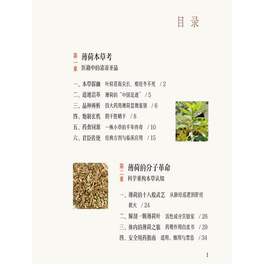 薄荷 一味清凉 清湖说中医药食同源 李菁 石继连 重点梳理了薄荷的历史渊源 炮制方法 食养食疗机制等内容 中国医药科技出版社 商品图3