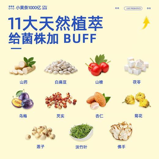 【超模君严选】茯苓山楂即食型益生菌（1000亿CFU型）西瓜酸奶味 商品图6