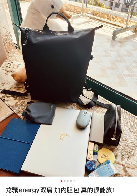 珑骧𝐋𝐞 𝐩𝐥𝐢𝐚𝐠𝐞 𝟑𝟐全新配色双肩包书包062905 商品图14