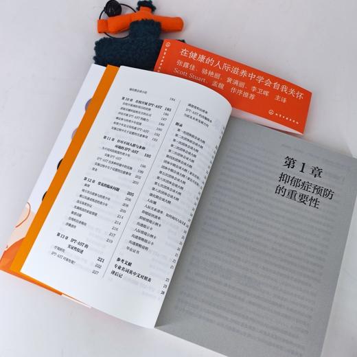 青少年人际心理治疗（IPT-AST）：改善关系，预防抑郁 商品图3