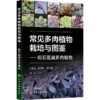 药赏食兼用植物图鉴230种 商品缩略图0