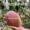 云南干热河谷高原有机贵妃芒果 商品缩略图1
