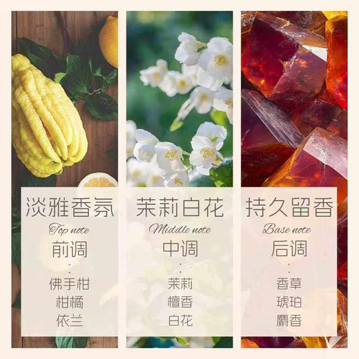 INGRAM'S 英格莱恩 南非乳木果维他命E水润保湿乳霜 商品图4