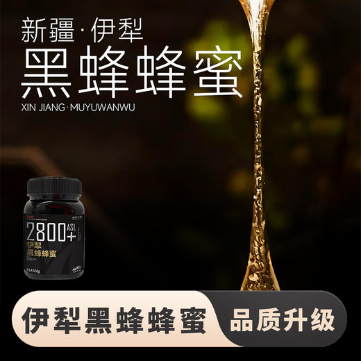 【唐布拉草原蜜源地  多种蜜源植物 配料只有蜂蜜 波美度≥42.3】亩育万物新疆黑蜂蜂蜜 500g*2罐 商品图8