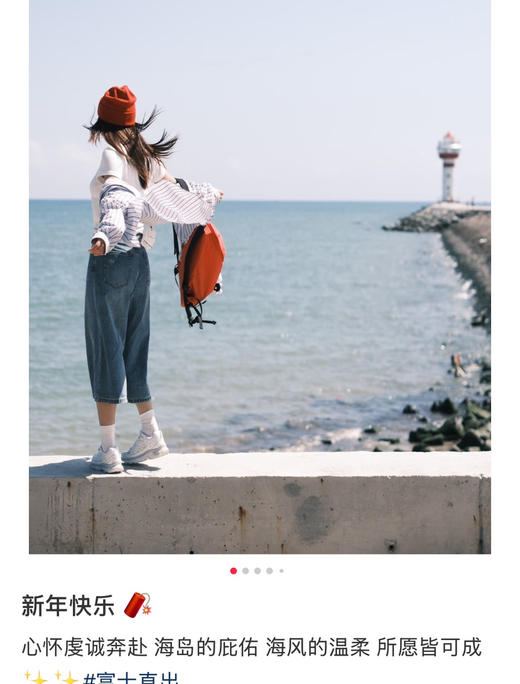珑骧𝐋𝐞 𝐩𝐥𝐢𝐚𝐠𝐞 𝟑𝟐全新配色双肩包书包062905 商品图4