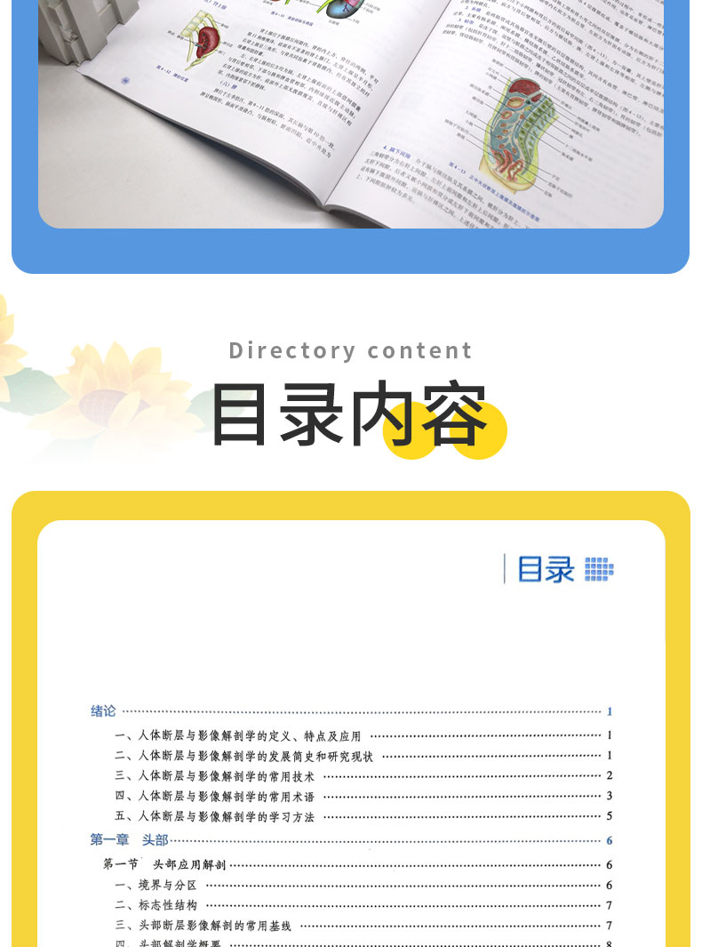 科普1---蓝_06.jpg