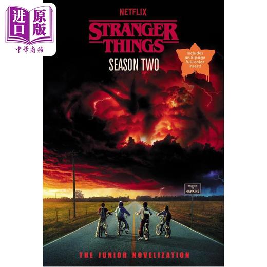 预售 【中商原版】怪奇物语 1-3季 青少年小说版 Stranger Things Season 1-3 The Junior Novelization 英文原版 Matthew J Gilbert 商品图2