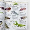 DK动物知识百科全书 英文原版 Knowledge Encyclopedia Animal 英文版儿童动物科普百科 精装进口原版英语书籍 商品缩略图4
