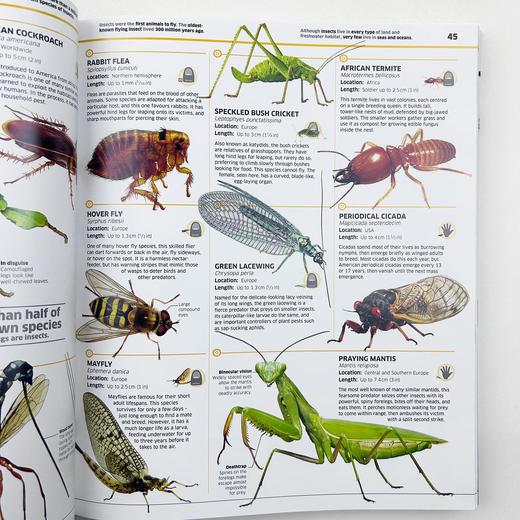 DK动物知识百科全书 英文原版 Knowledge Encyclopedia Animal 英文版儿童动物科普百科 精装进口原版英语书籍 商品图4