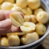 【顺丰发货】肉质厚实 颗粒大又白 | 江西瑞金去芯鲜贡莲 新鲜莲子食材 现摘 可煲粥可炒菜  500g*2袋 商品缩略图2