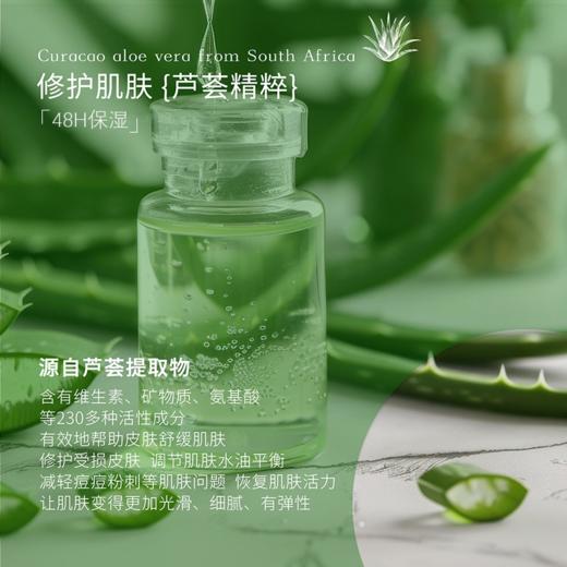 NGRAM'S 英格莱恩 芦荟维他命E水润保湿乳霜 南非芦荟身体乳 48小时长效保湿 商品图1