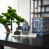 “皇家贡茶”！【地理标志产品 非遗大师监制】万璞号 “景泰蓝” 2018老树普洱 8年干仓陈化 中式典藏瓷罐 茶汤红润甘醇 十泡不掉水 200g/罐 商品缩略图8