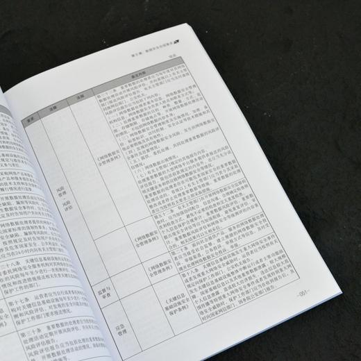 数据*合规能力建设指南 数据*实践 网络* 计算机网络技术教程书籍 商品图2