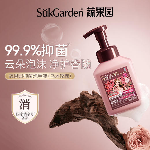 【3瓶装】蔬果园 抑菌洗手液 乌木玫瑰 500ml*3瓶 云朵泡沫净护香随 商品图0