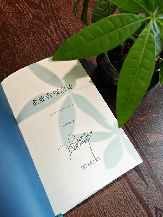 企业合规总论 商品图3
