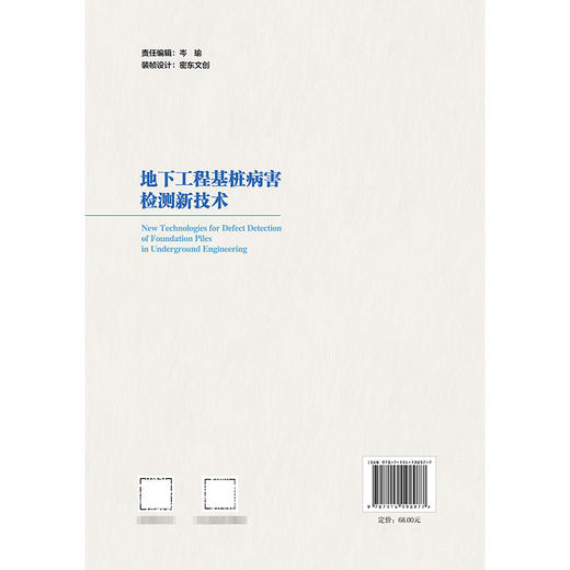 地下工程基桩病害检测新技术 商品图1