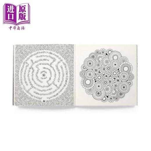 预售 【中商原版】迷你秘密花园涂色书 便携版 乔汉娜 贝斯福  Miniature Secret Garden 英文原版 Johanna Basford 袖珍版 平摊式装订 商品图3