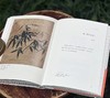 【毛笔签名+钤印】《东坡先生和陶渊明诗》，精装，32开，苏东坡著，孙善春校注，中国美术学院出版社2025年一版一印，售价78元。 商品缩略图11