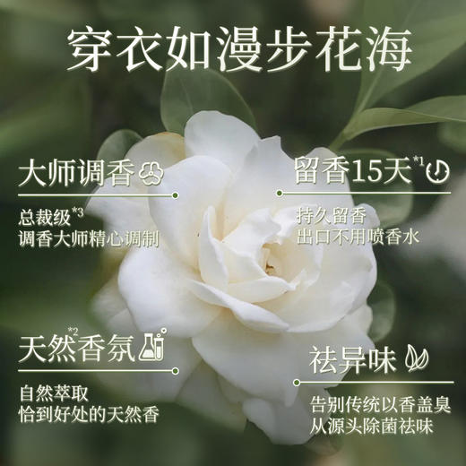 【天然香氛】蔬果园 天然茉莉白山茶精油香氛3D洗衣凝珠组合装（80颗*1盒+32颗*1袋+6颗装*1盒） 1颗多效自在穿香 商品图2