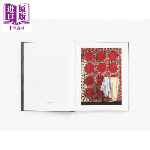 【中商原版】Mamma Andersson: Adieu Maria Magdalena 进口艺术 玛玛安德森：再见玛丽亚 玛格达莱纳 商品图1