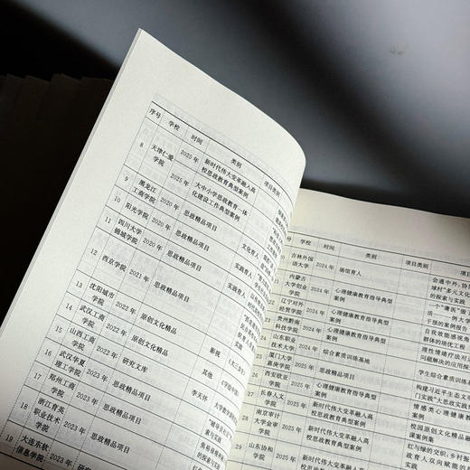 中国民办本科高校高质量发展研究报告 2024—2025 高等教育 高校改革发展 商品图10
