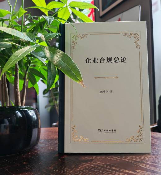企业合规总论 商品图4