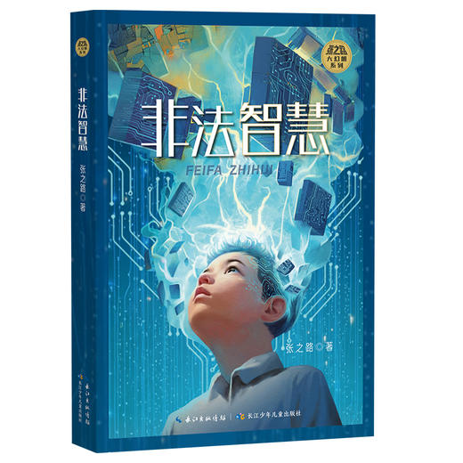 非法智慧 商品图0