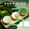 【中秋】茶叶 安吉白茶 2026新茶 春茶 绿茶 茶叶罐装 茶饮 五虎 125g(买1送1同款，配手提袋) 商品缩略图4