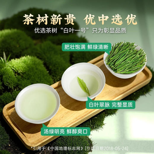【中秋】茶叶 安吉白茶 2026新茶 春茶 绿茶 茶叶罐装 茶饮 五虎 125g(买1送1同款，配手提袋) 商品图4